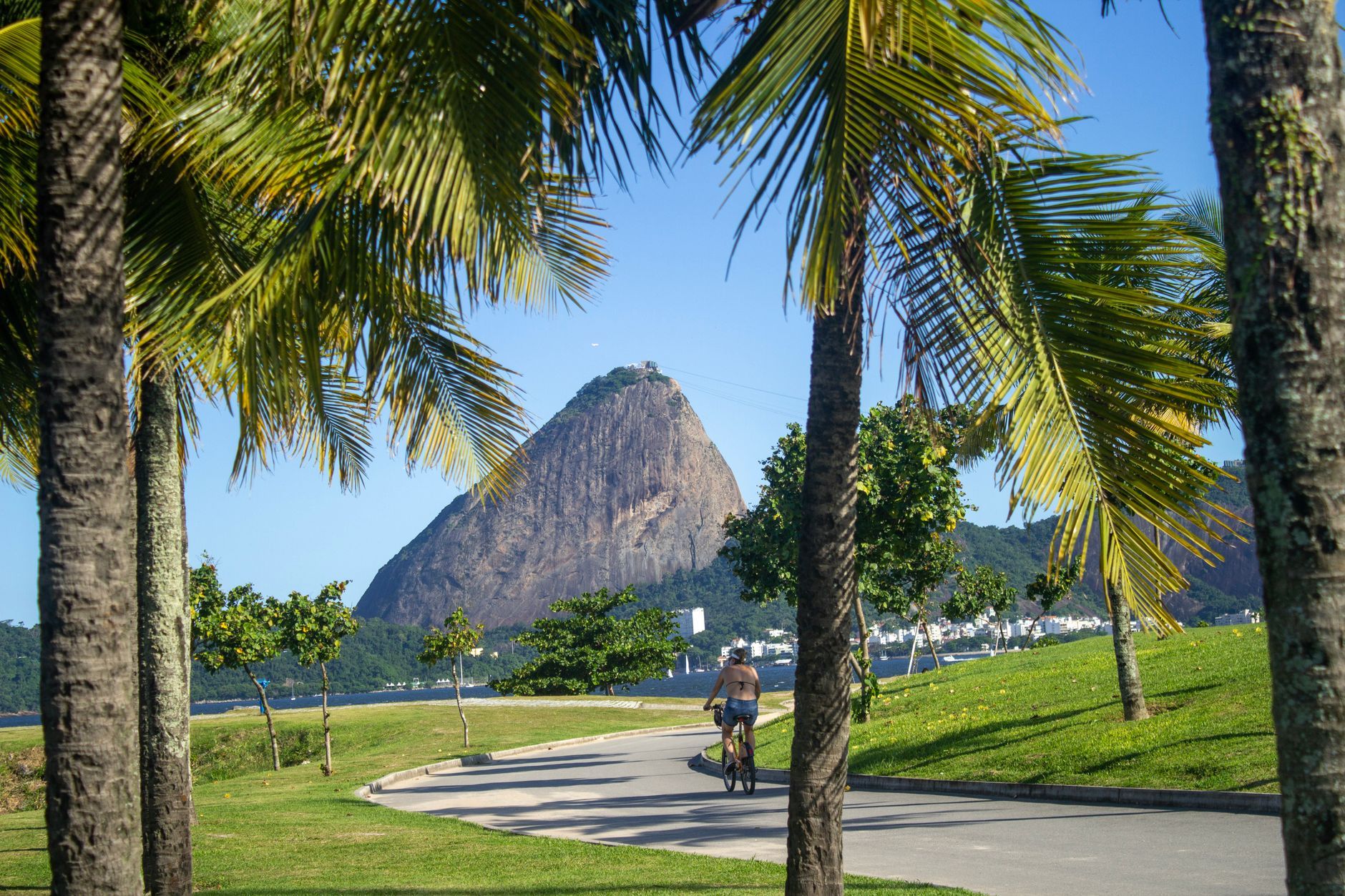 Aprazivel Rio de Janeiro Guide: Essential Brazilian Modern in Brazil
