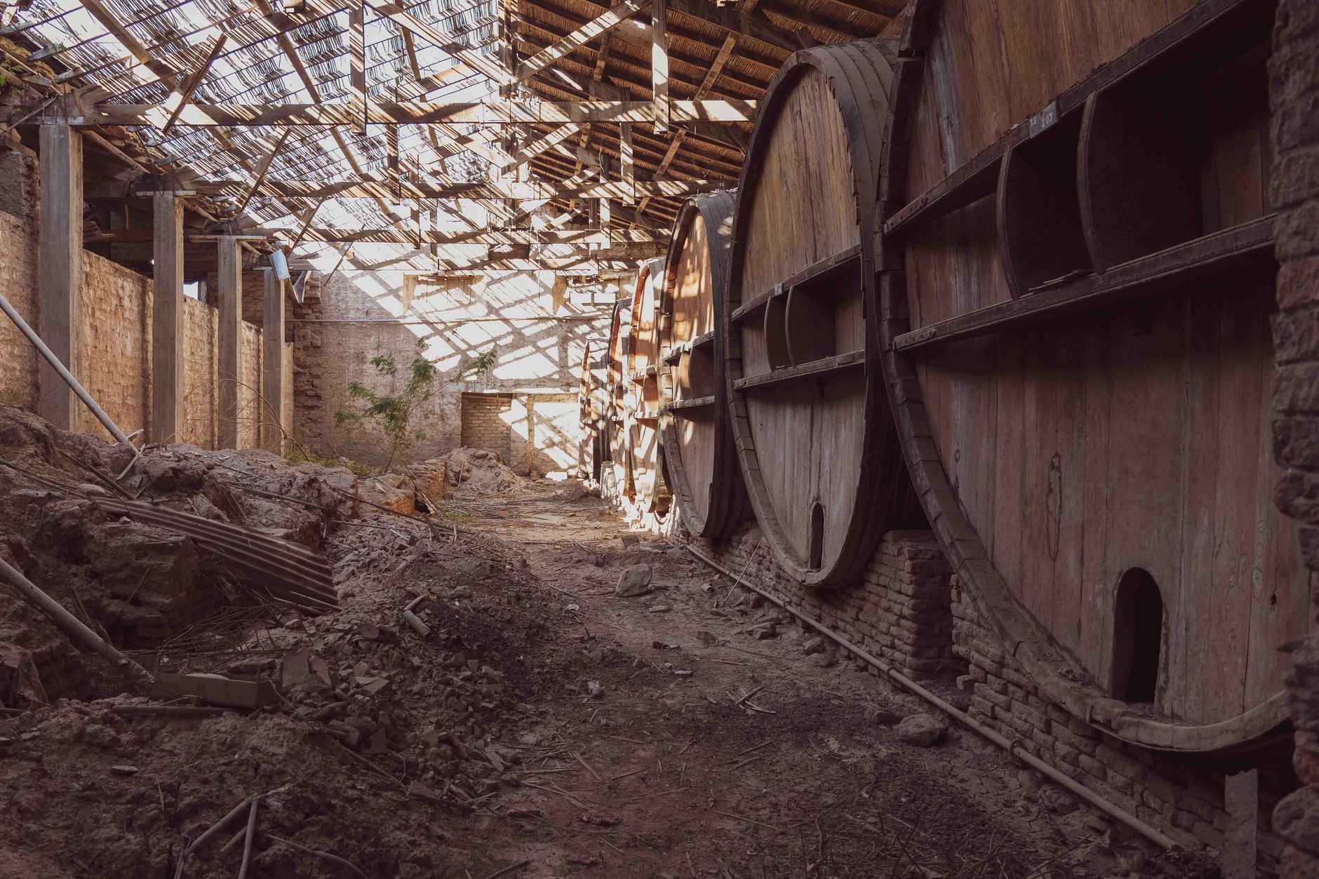Bodega Garzon Punta del Este Guide: Essential Uruguayan Modern in Uruguay