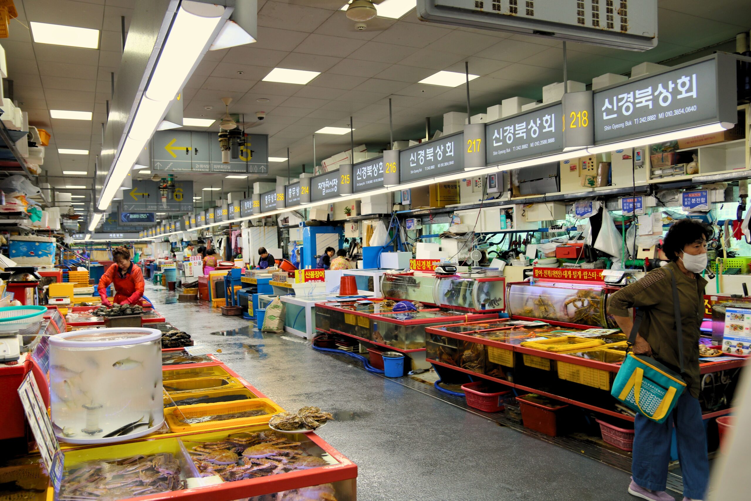 The Complete Street Food Guide to Busan Korea Cuisine: Restaurants, Cafes, and Food Markets