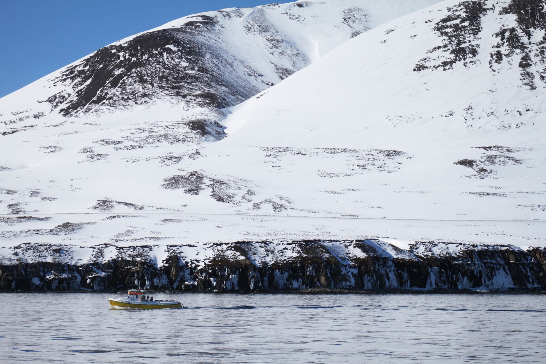 Dill Reykjavik: Expert Review of New Nordic in Iceland 2026
