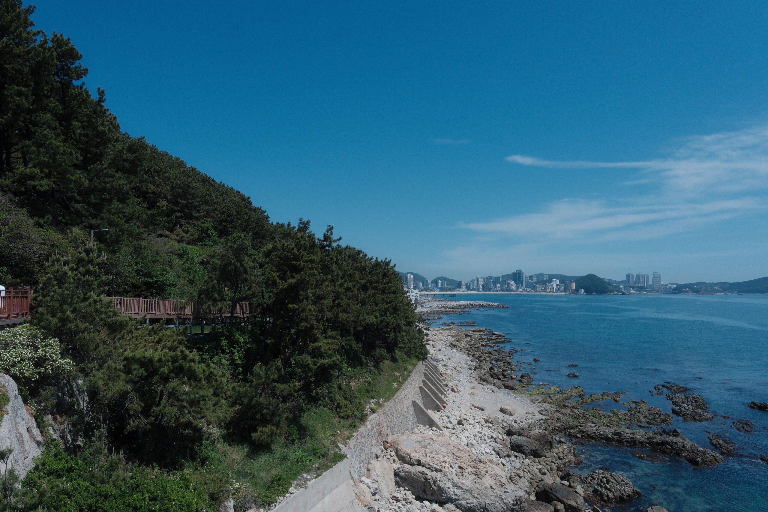 Inside Busan’s Dwaeji Gukbap: A Comprehensive Street Review of South Korea’s Iconic Busan Comfort