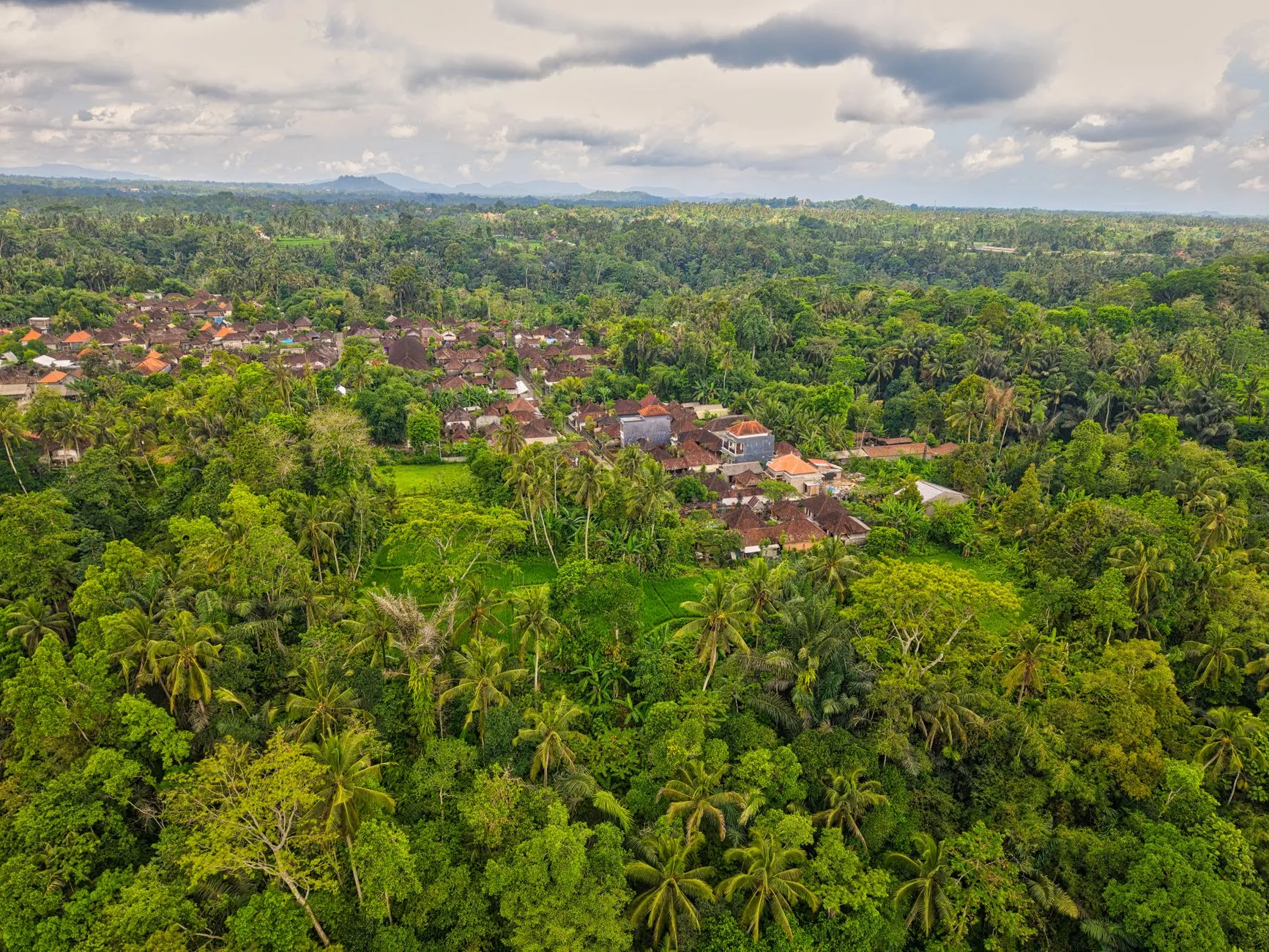Four Seasons Sayan Bali Insight: Balinese Excellence in Indonesia