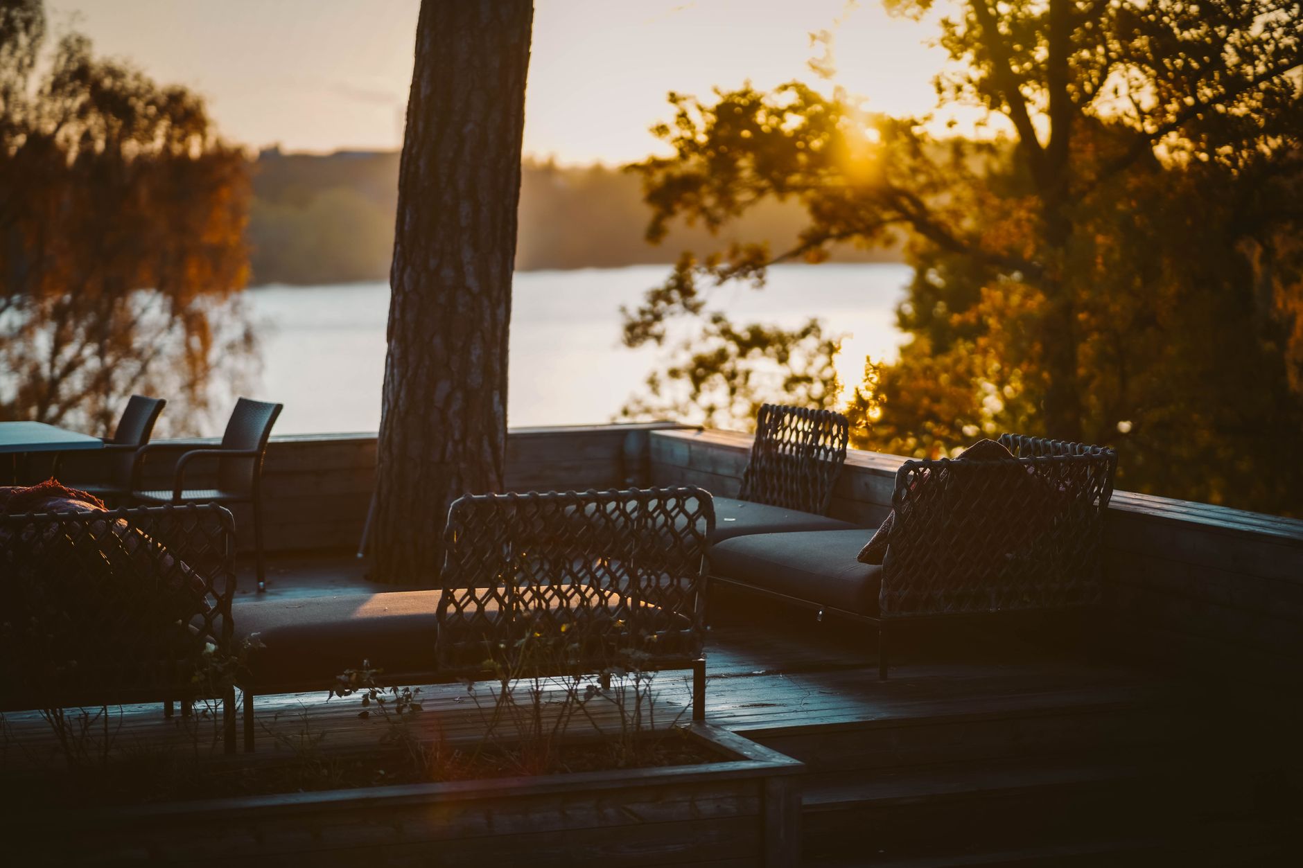 Frantzen Stockholm: Expert Review of Swedish Modern in Sweden 2026