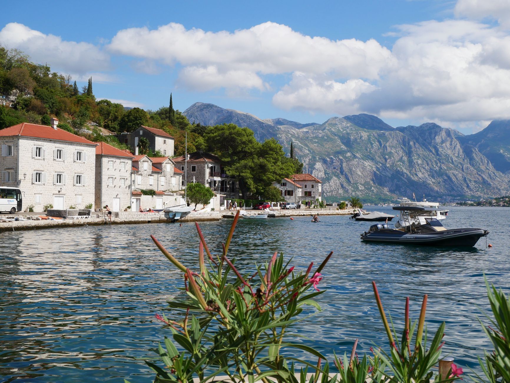 Galion Kotor Analysis: Why This Restaurant Leads Montenegro