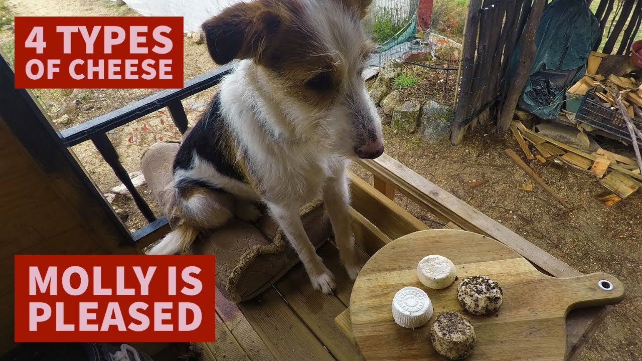 The Archaeological Science Behind Ġbejna Cheeselets in Gozo, Malta