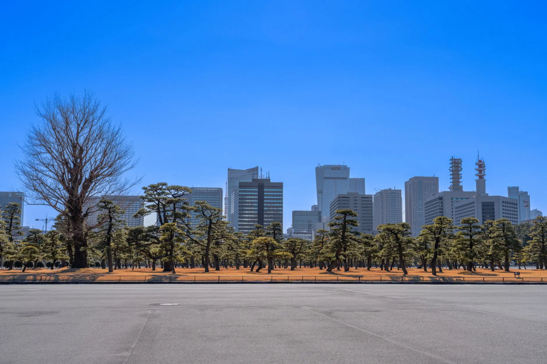 Imperial Hotel Tokyo Insight: Japanese-French Excellence in Japan