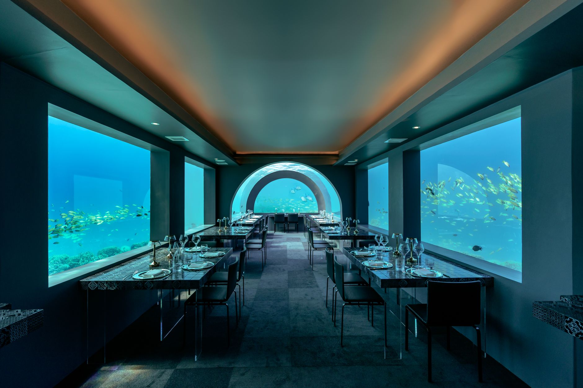 Review Mendalam Ithaa Undersea Restaurant: Fine Dining Modern European di Male Cita Rasa Autentik