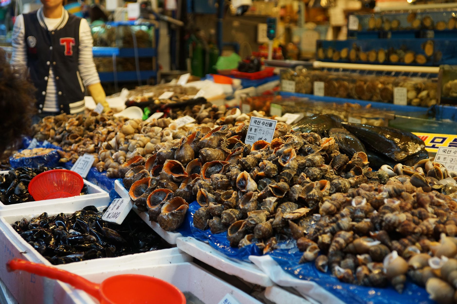 Jagalchi Market Busan: Korea Largest Seafood Market Experience