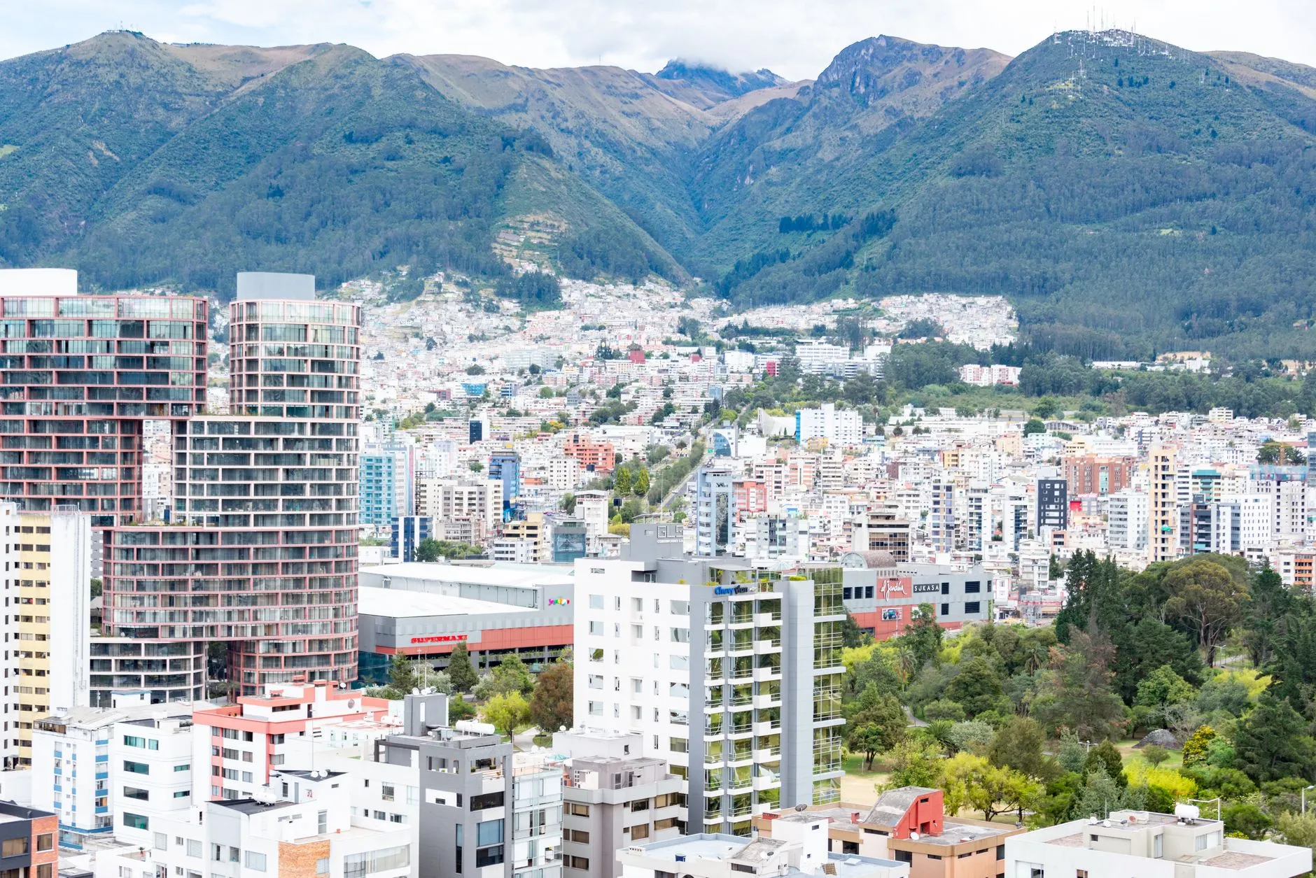 Nuema Quito Guide: Essential Ecuadorian Modern in Ecuador