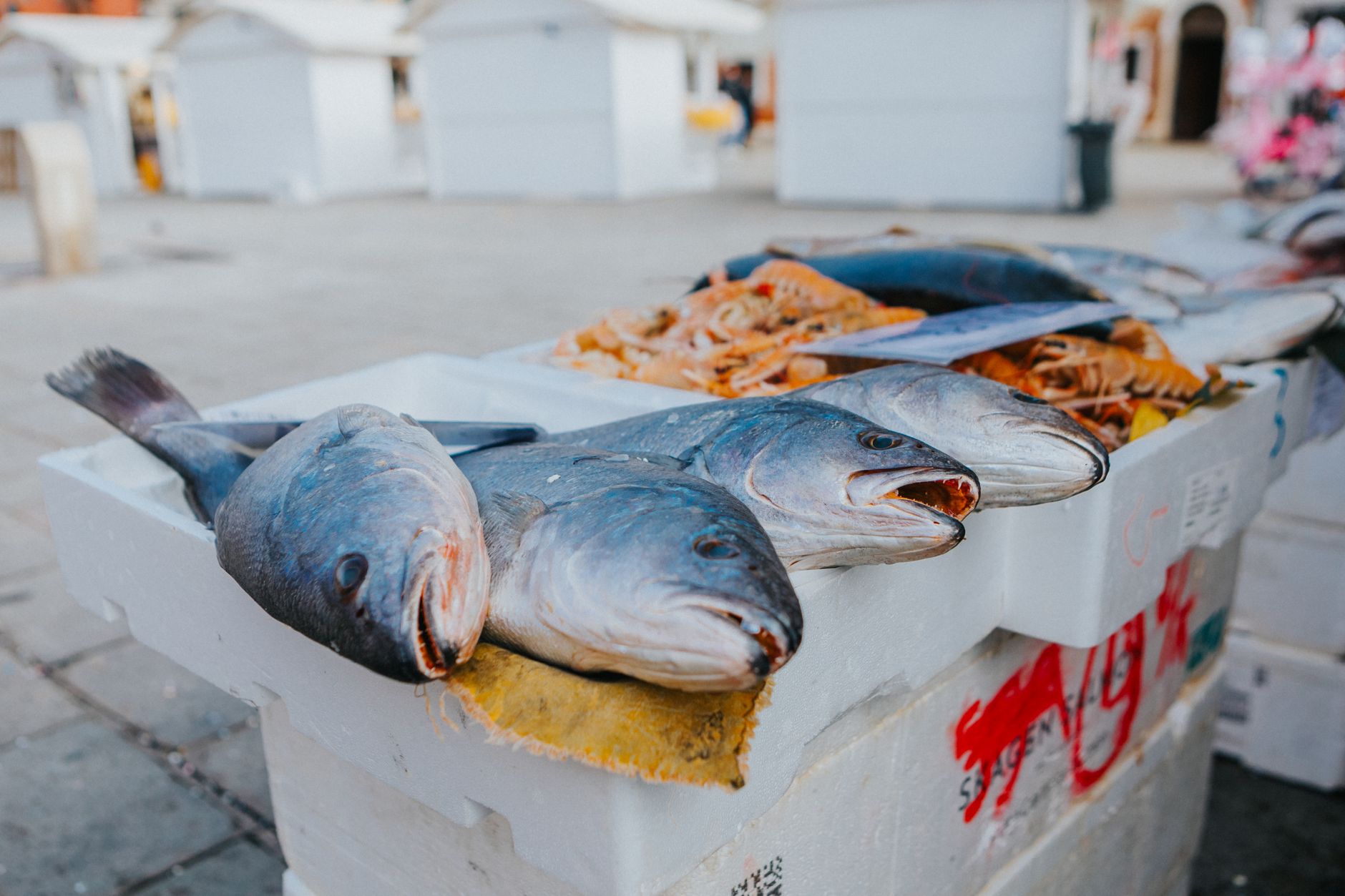 Panduan Kuliner Osteria alle Testiere Italy: Venetian Seafood Autentik Venice 2026