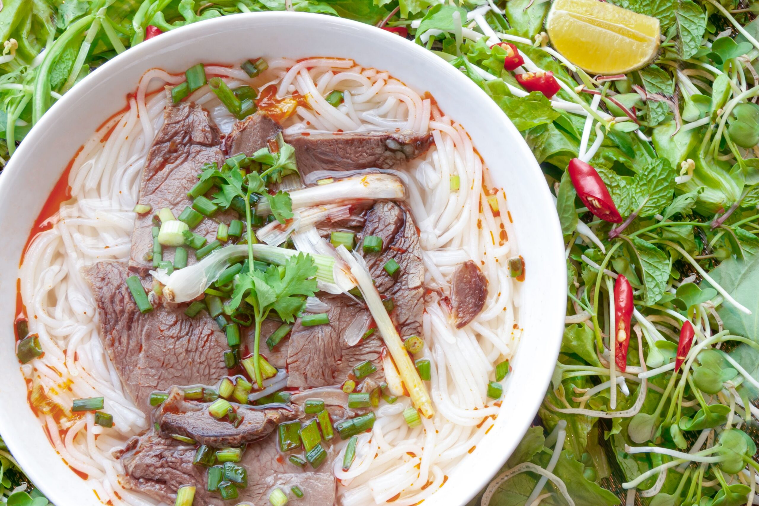 Inside Hanoi’s Pho Bo: A Comprehensive Street Review of Vietnam’s Iconic Vietnamese Noodle
