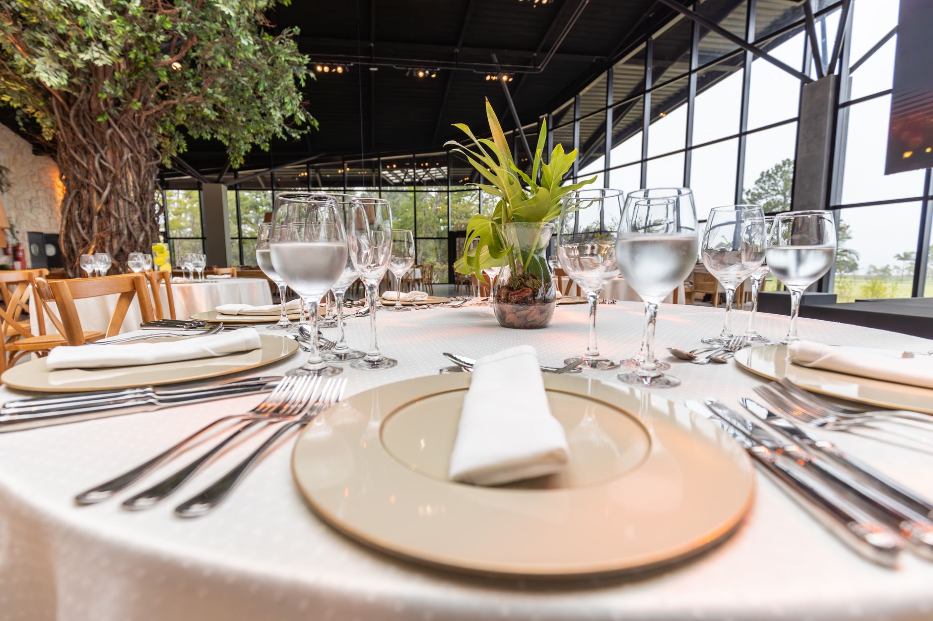 Piegari – Fine Dining Paraguayan Italian Terkenal di Asuncion: Review & Tips