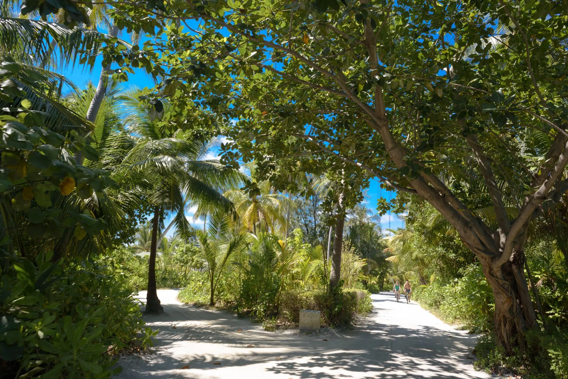 Soneva Fushi Baa Atoll: Expert Review of Modern European in Maldives 2026