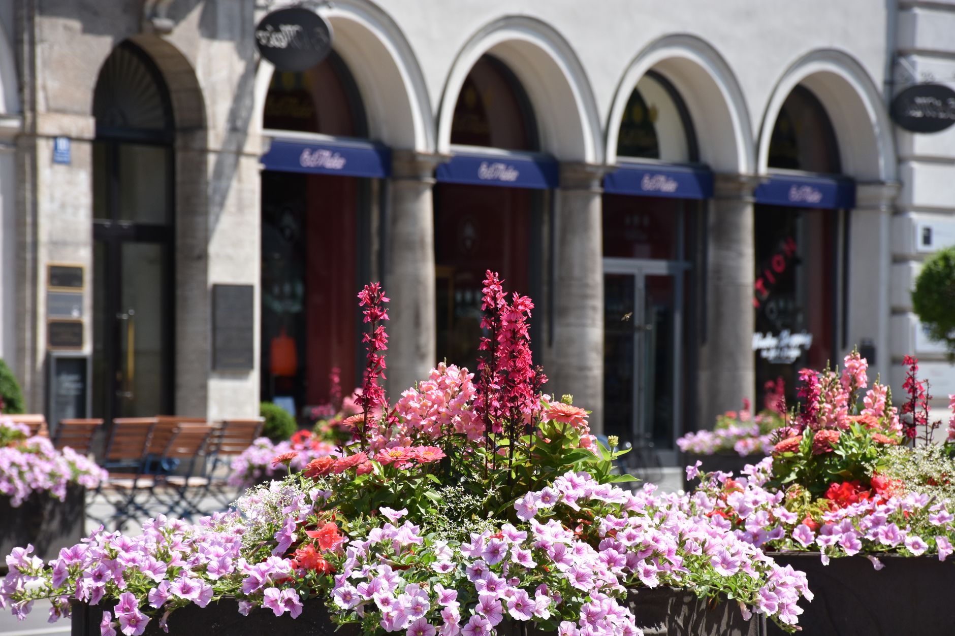 Tantris Munich Insight: German Classic Excellence in Germany