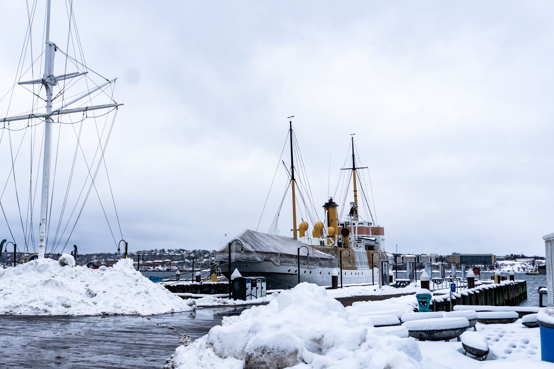 Tim Wendelboe Oslo Analysis: Why This Norwegian Coffee Cafe Leads Norway
