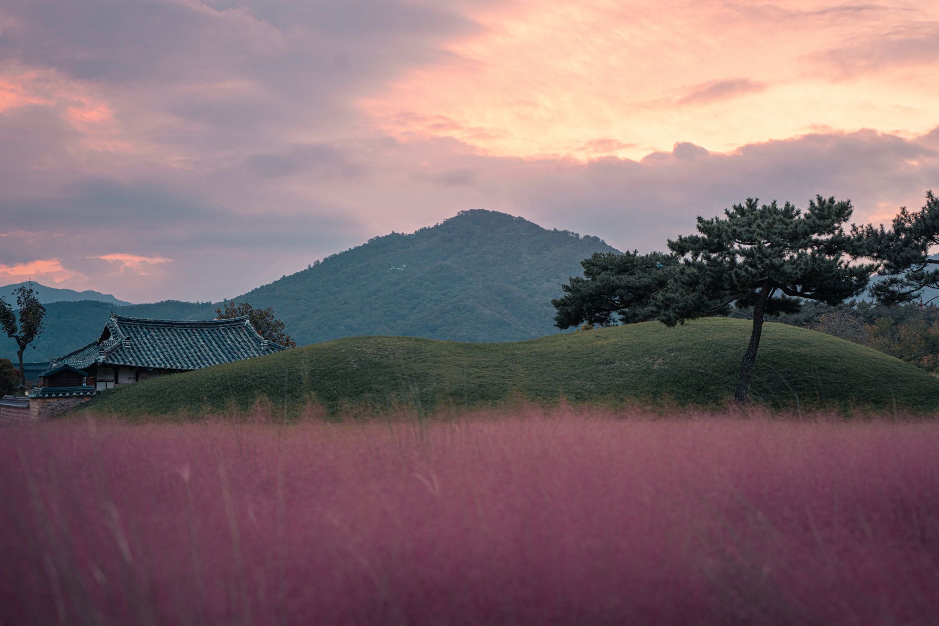 Panduan Kuliner Yoseokgung Gyeongju: Fine Dining Royal Korean Terbaik Korea