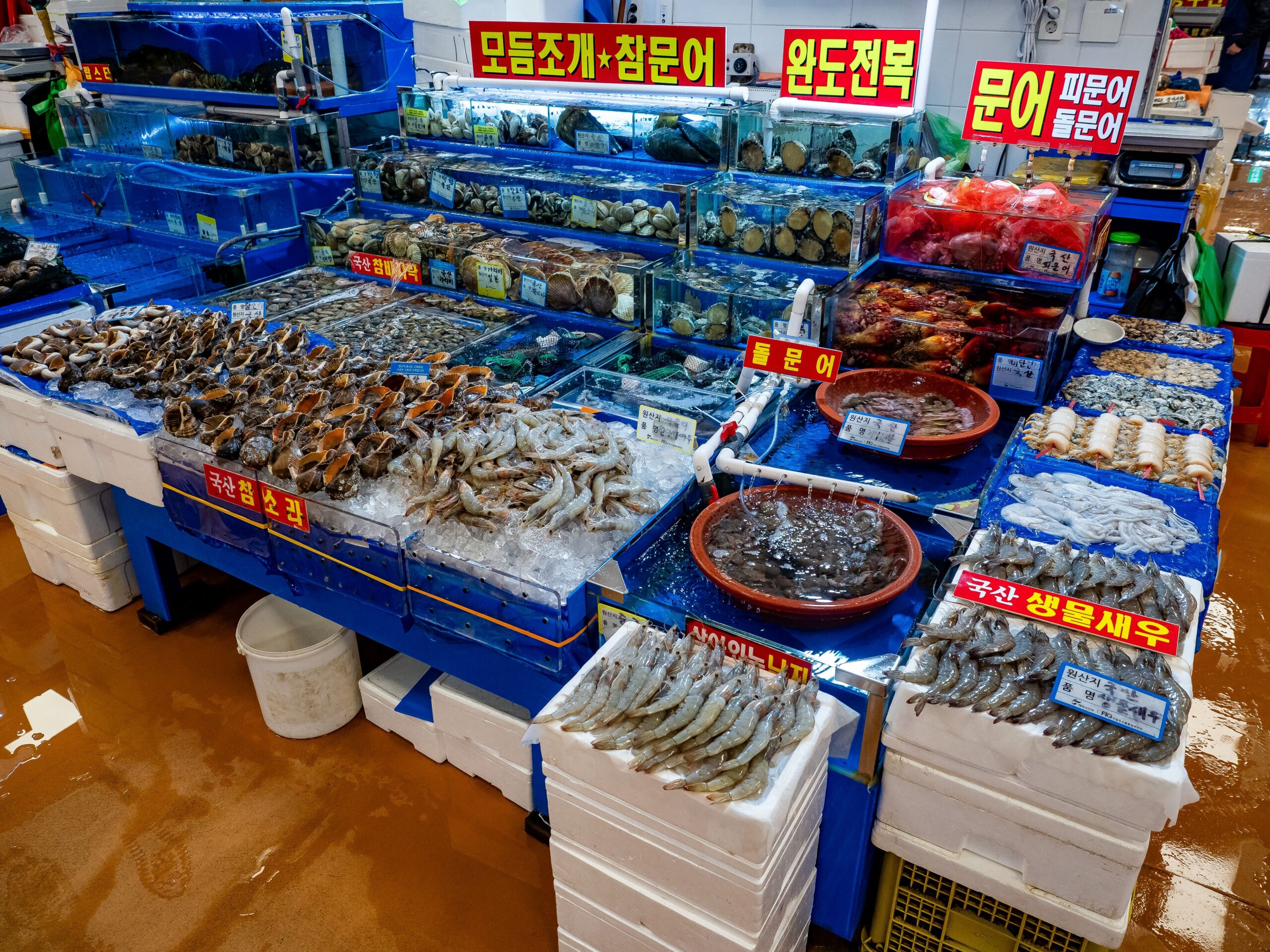 Discovering Jagalchi Market: Busan Seafood in Busan
