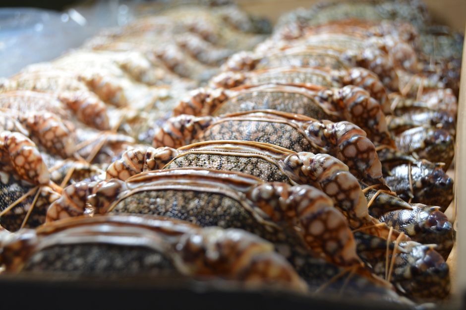 Kepiting Kenari Balikpapan Guide: Essential East Kalimantan Seafood at Kepiting Kenari Balikpapan 2026