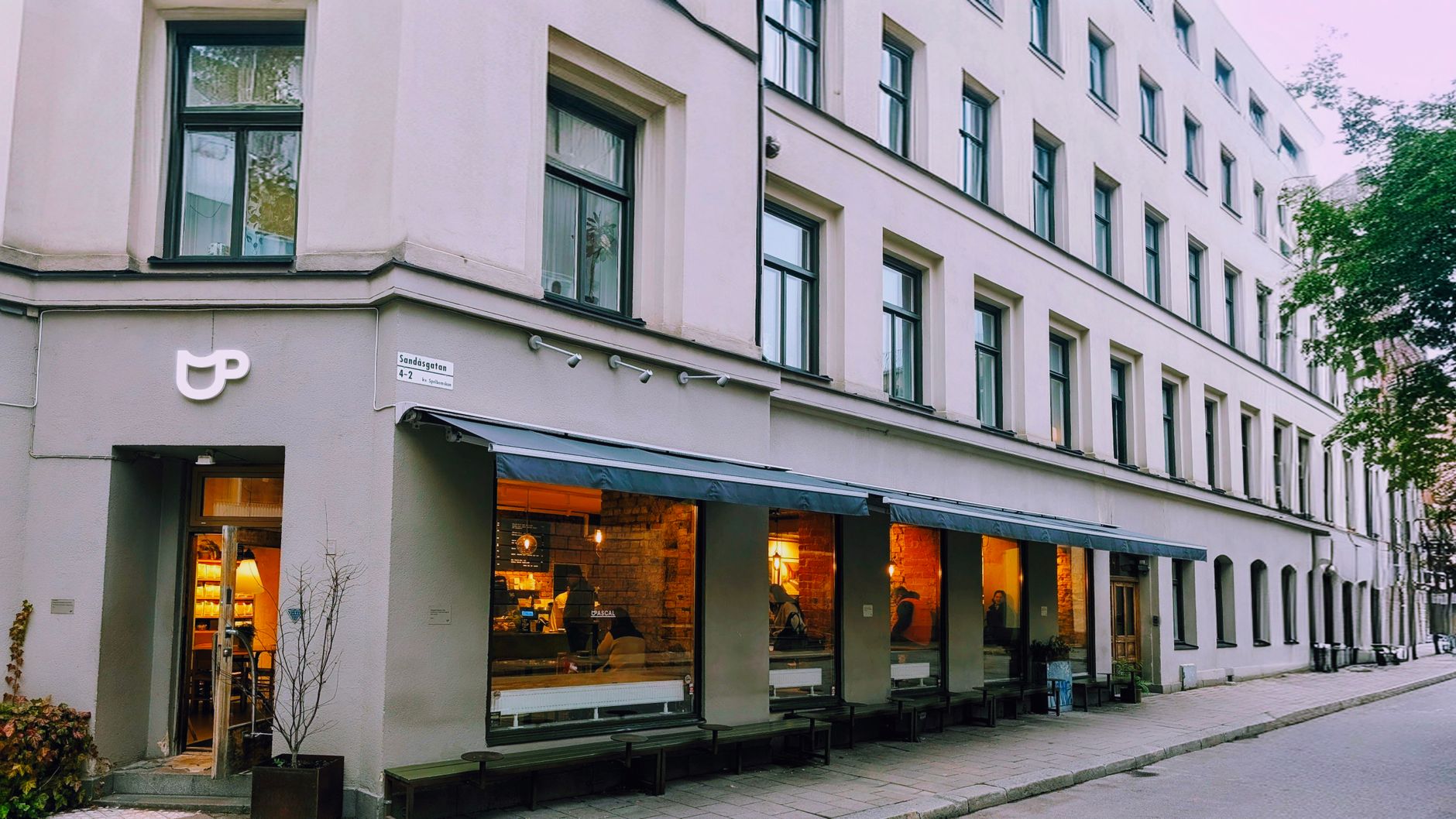 Vete-Katten Stockholm Analysis: Why This Cafe Leads Sweden